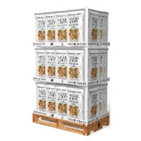 THE DAILY CRAVE CHIPS VEGGIE 48CT DISPLY - 1 DS