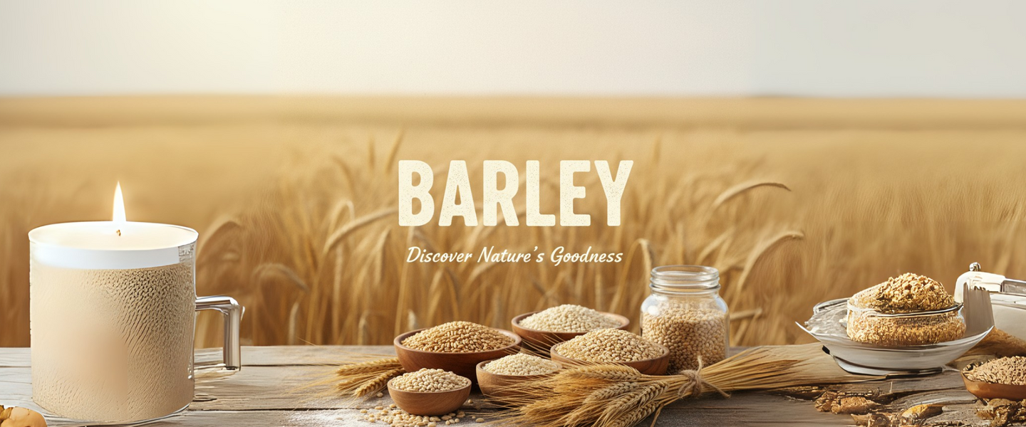 Barley