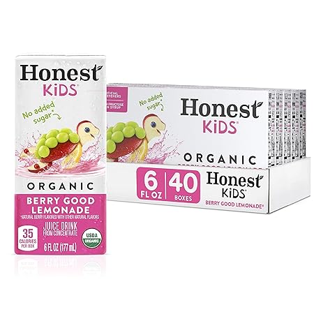 Honest Kids Berry Good Lemonade, Organic Juice Drink, Berry Lemonade, 6 Fl Oz (Pack of 40)